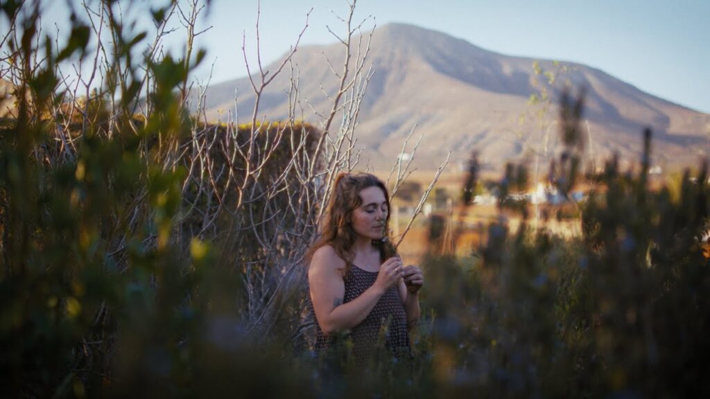 aia la vieja fea